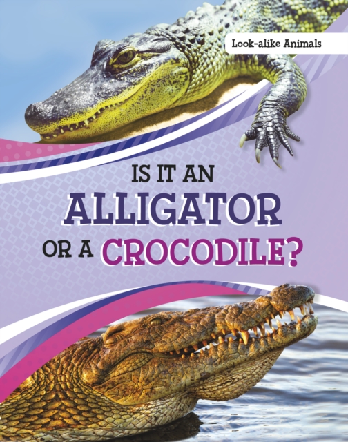 Is It an Alligator or a Crocodile?, Paperback / softback Book
