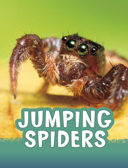 Jumping Spiders, EPUB eBook