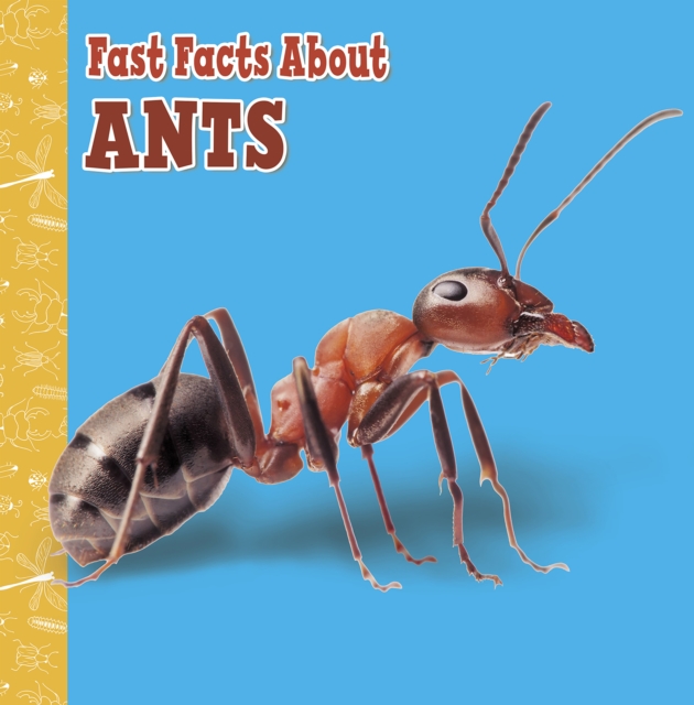 Fast Facts About Ants, EPUB eBook