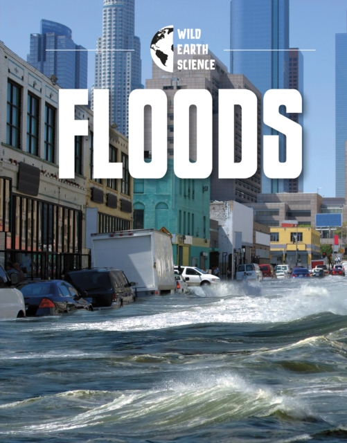 Floods, Paperback / softback Book