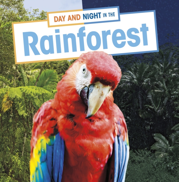 Day and Night in the Rainforest, Hardback Book