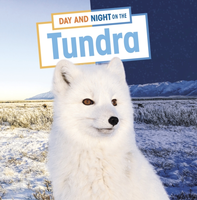 Day and Night on the Tundra, Hardback Book