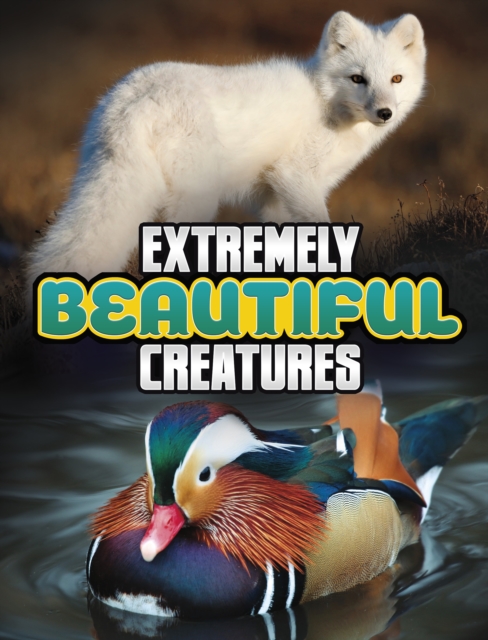Extremely Beautiful Creatures, Hardback Book