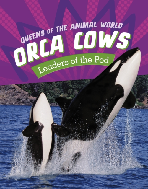 Orca Cows : Leaders of the Pod, Hardback Book