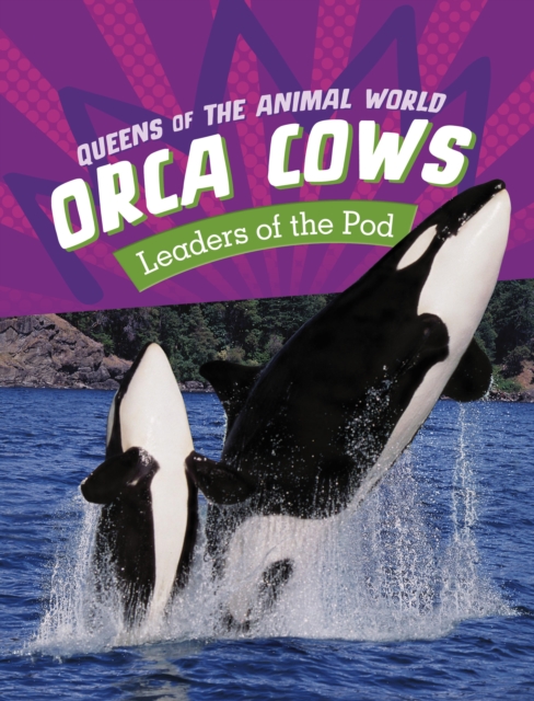 Orca Cows : Leaders of the Pod, Paperback / softback Book