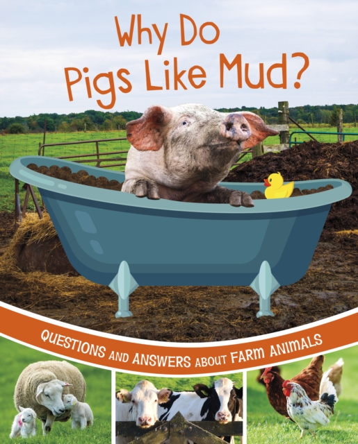 Why Do Pigs Like Mud? : Questions and Answers About Farm Animals, Hardback Book