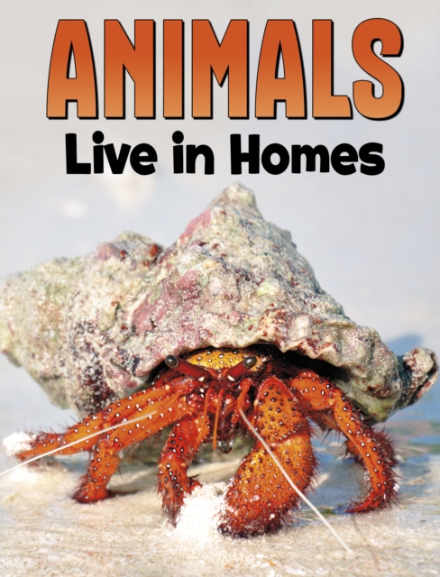 Animals Live in Homes, Paperback / softback Book