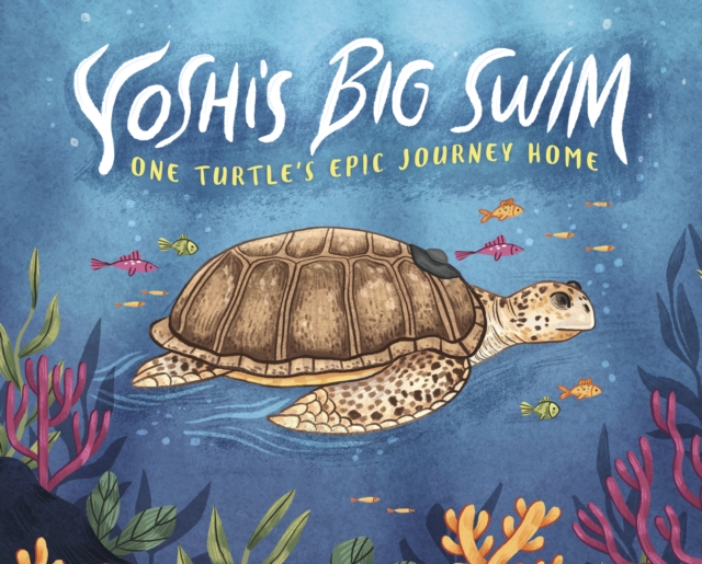 Yoshi's Big Swim : One Turtle's Epic Journey Home, Hardback Book