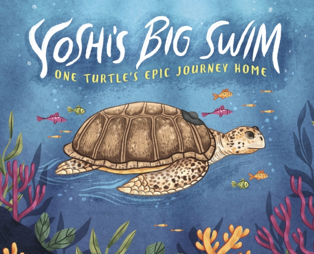 Yoshi's Big Swim : One Turtle's Epic Journey Home, Paperback / softback Book