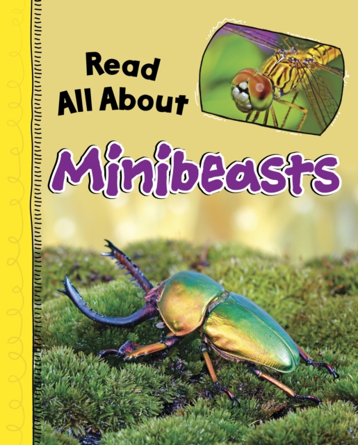 Read All About Minibeasts, Hardback Book
