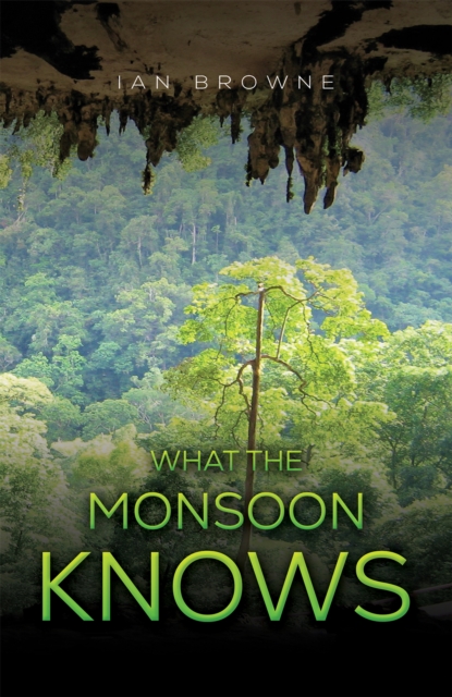 What the Monsoon Knows, Paperback / softback Book