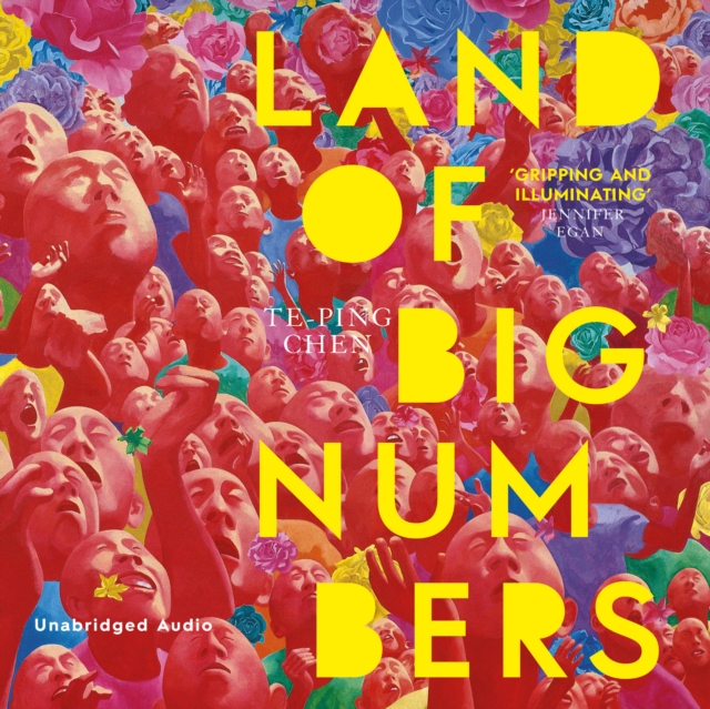 Land of Big Numbers, eAudiobook MP3 eaudioBook