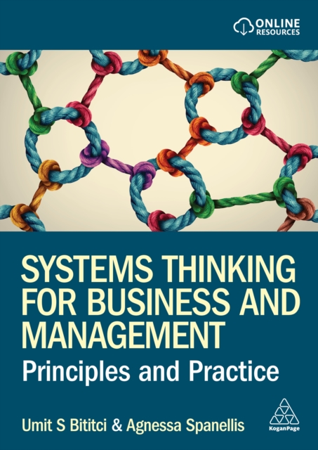 Systems Thinking for Business and Management : Principles and Practice, EPUB eBook