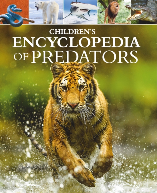Children's Encyclopedia of Predators, Hardback Book