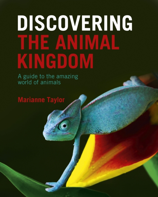 Discovering The Animal Kingdom : A guide to the amazing world of animals, EPUB eBook