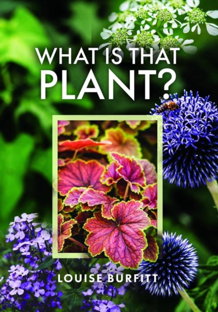 What is that Plant?, Hardback Book