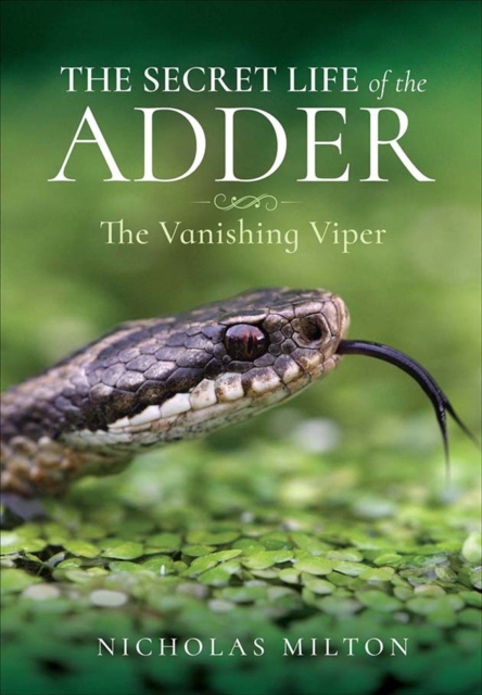 The Secret Life of the Adder : The Vanishing Viper, PDF eBook