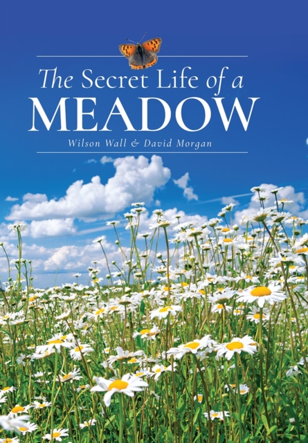 The Secret Life of a Meadow, EPUB eBook