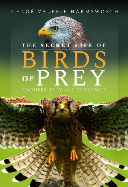 The Secret Life of Birds of Prey : Feathers, Fury and Friendship, Hardback Book