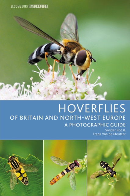 Hoverflies of Britain and North-west Europe : A Photographic Guide, PDF eBook