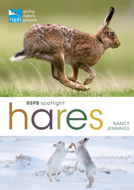 RSPB Spotlight Hares, Paperback / softback Book