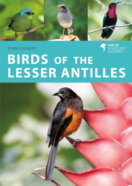 Birds of the Lesser Antilles, PDF eBook