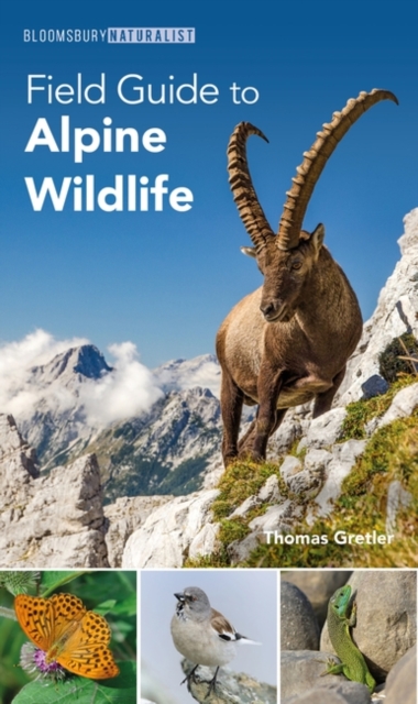 Field Guide to Alpine Wildlife, PDF eBook