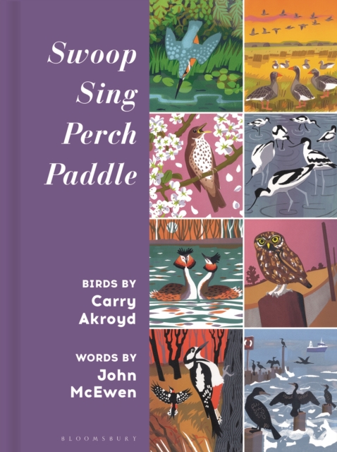 Swoop Sing Perch Paddle : Birds by Carry Akroyd, Hardback Book