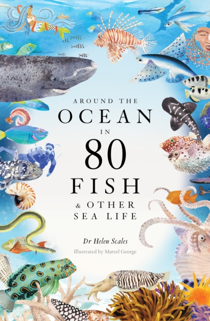 Around the Ocean in 80 Fish and other Sea Life, EPUB eBook