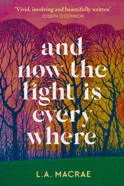 And Now the Light is Everywhere : A stunning debut novel of family secrets and redemption, EPUB eBook