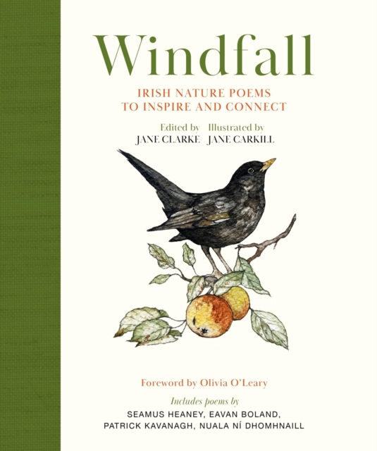 Windfall : Irish Nature Poems to Inspire and Connect, Hardback Book