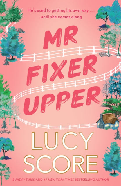 Mr Fixer Upper : the new romance from the 2023 bestselling Tiktok sensation!, EPUB eBook