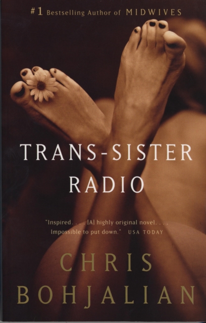 Trans-Sister Radio, EPUB eBook