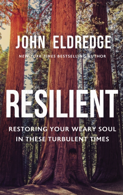 Resilient : Restoring Your Weary Soul in These Turbulent Times, EPUB eBook
