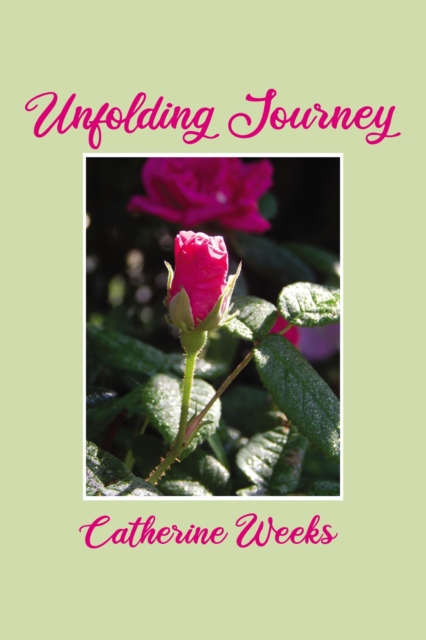 Unfolding Journey, EPUB eBook
