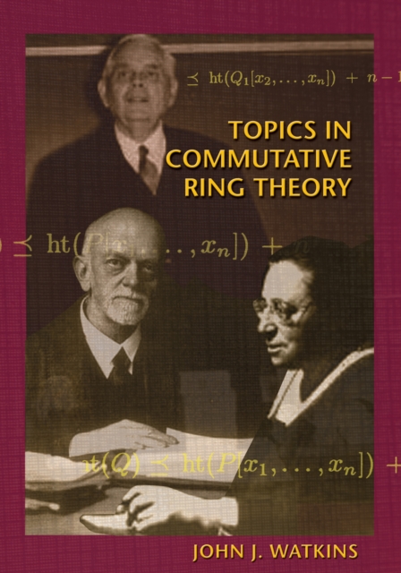 Topics in Commutative Ring Theory, EPUB eBook