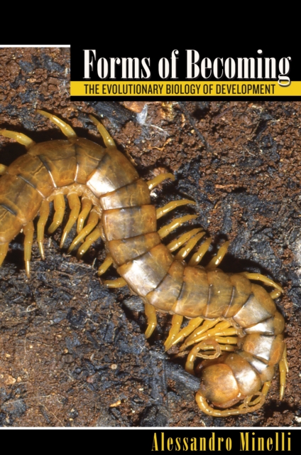 Forms of Becoming : The Evolutionary Biology of Development, EPUB eBook