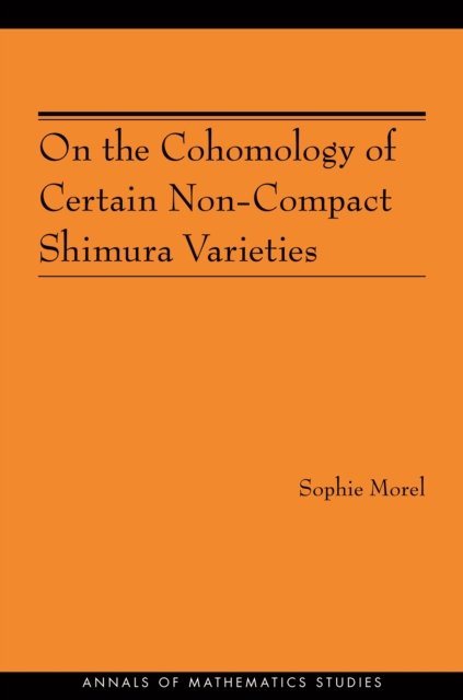 On the Cohomology of Certain Non-Compact Shimura Varieties (AM-173), PDF eBook
