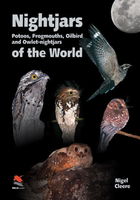 Nightjars, Potoos, Frogmouths, Oilbird, and Owlet-nightjars of the World, PDF eBook