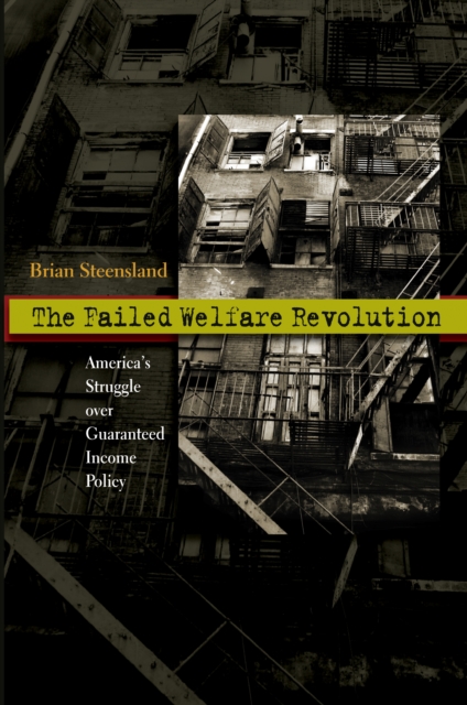 The Failed Welfare Revolution : America's Struggle over Guaranteed Income Policy, EPUB eBook