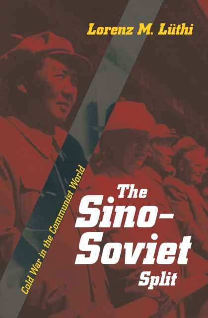 The Sino-Soviet Split : Cold War in the Communist World, PDF eBook