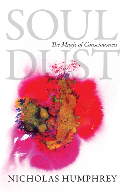 Soul Dust : The Magic of Consciousness, EPUB eBook