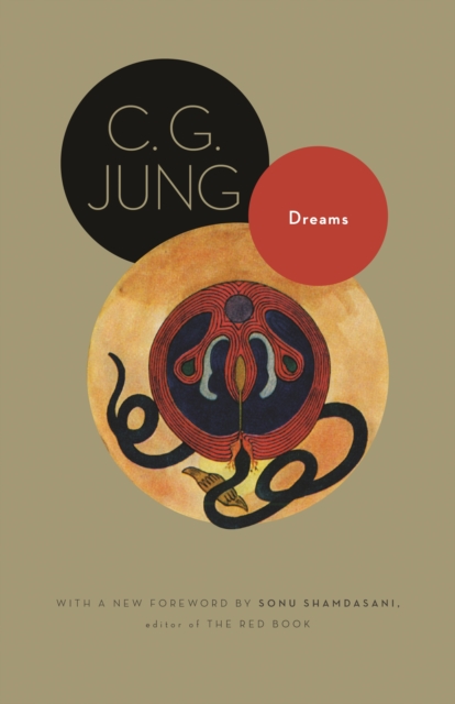 Dreams : (From Volumes 4, 8, 12, and 16 of the Collected Works of C. G. Jung), EPUB eBook
