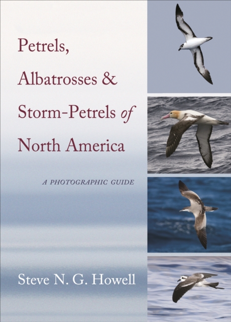 Petrels, Albatrosses, and Storm-Petrels of North America : A Photographic Guide, EPUB eBook