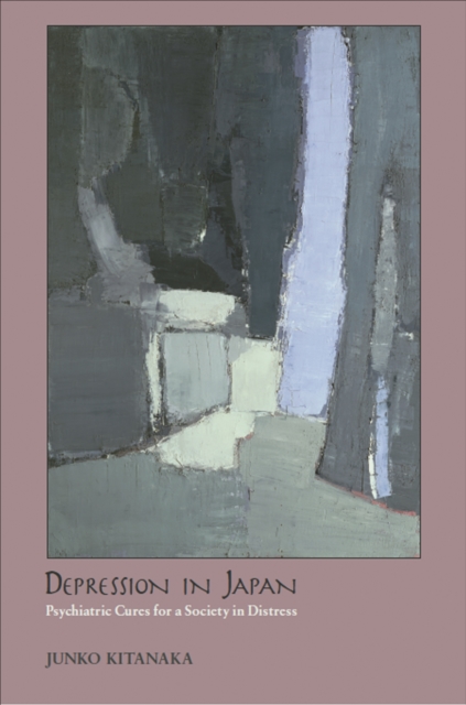 Depression in Japan : Psychiatric Cures for a Society in Distress, EPUB eBook