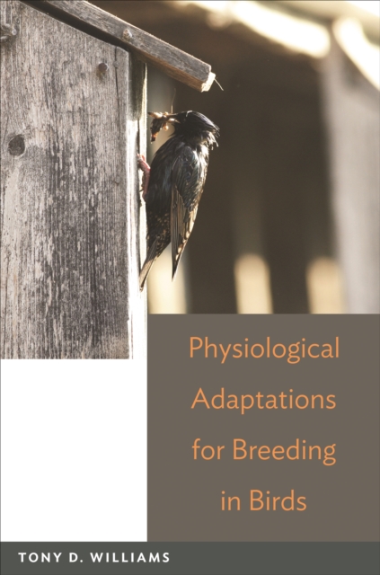 Physiological Adaptations for Breeding in Birds, EPUB eBook