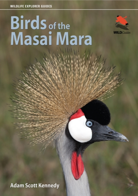 Birds of the Masai Mara, PDF eBook