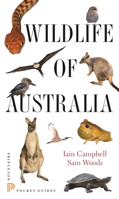 Wildlife of Australia, PDF eBook
