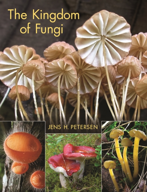 The Kingdom of Fungi, PDF eBook