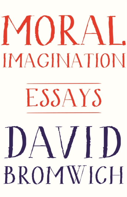 Moral Imagination : Essays, EPUB eBook